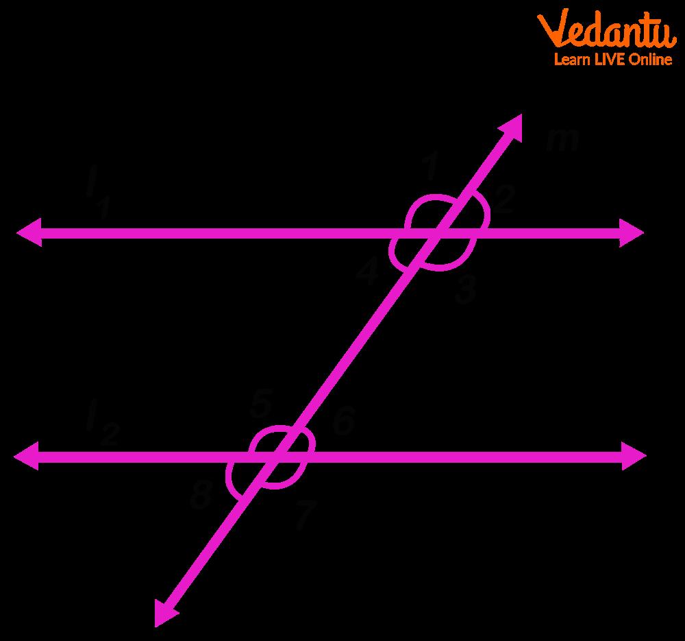 Can Two Parallel Lines Meet